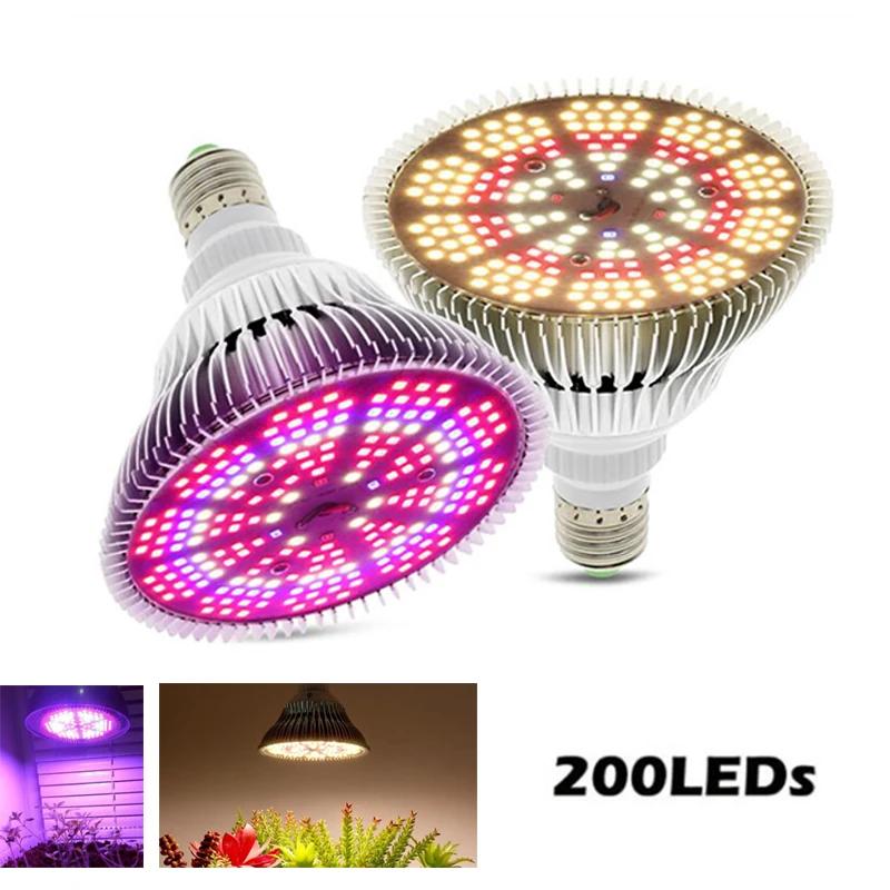 LED  , E27 LED Ĺ , 200 LED ޺, ü Ʈ ǳ  ä  Ĺ  , 300W